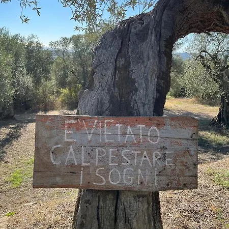 Casale Millesoli Bed and breakfast