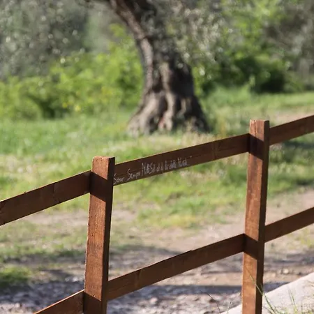 Bed and breakfast Casale Millesoli Mugnano (Umbria)