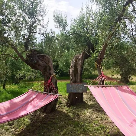 Casale Millesoli Bed and breakfast