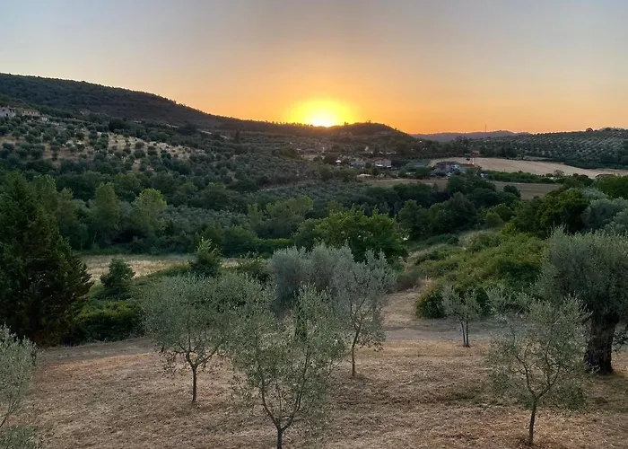 Bed & Breakfast Casale Millesoli