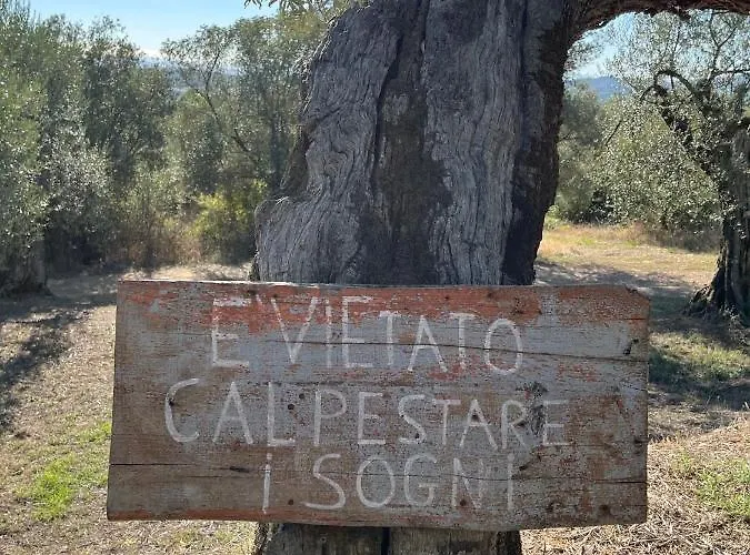 Casale Millesoli Bed & Breakfast