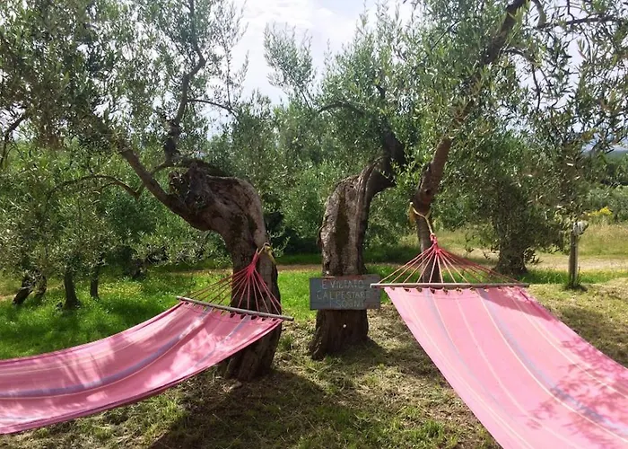 Casale Millesoli Bed & Breakfast